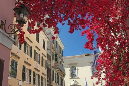 Leone Old Town Apartment Corfu  Экстерьер фото